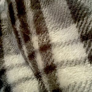 Meet your Posher, Chevy